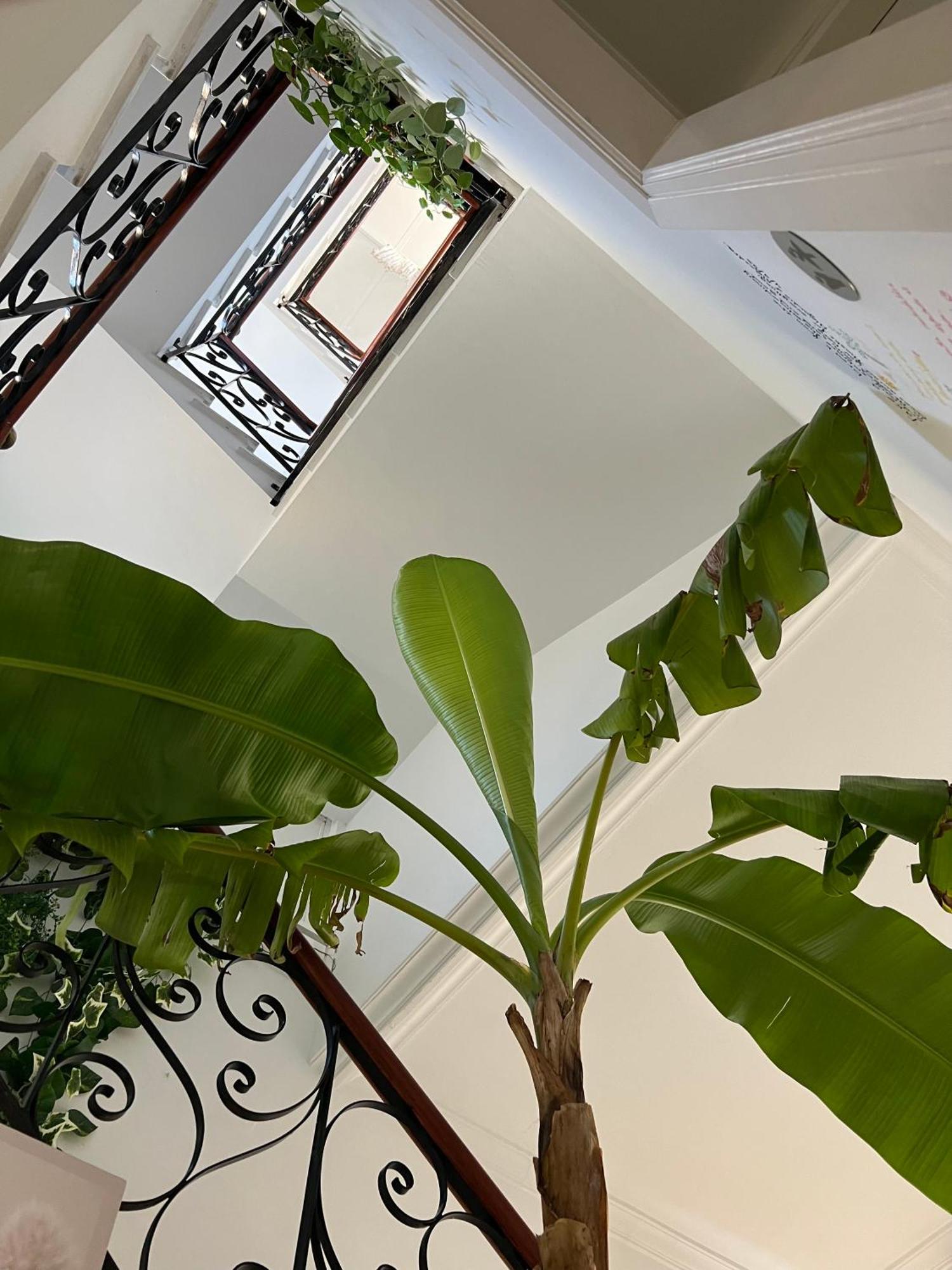 Balear Hotel Ciutadella  Eksteriør bilde