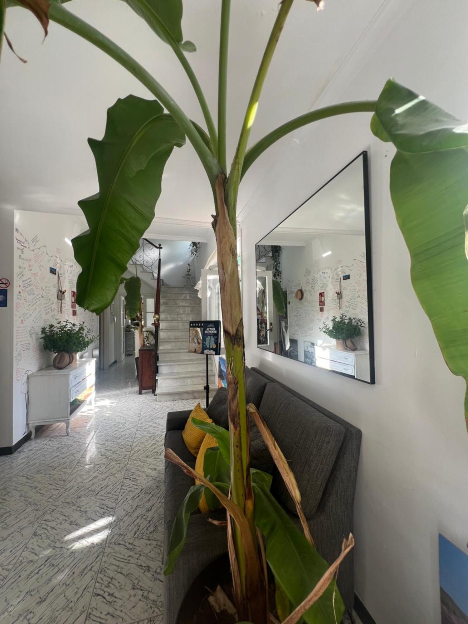 Balear Hotel Ciutadella  Eksteriør bilde